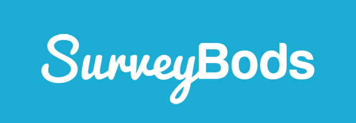 surveybods website